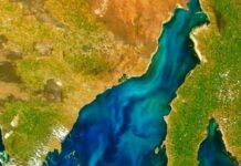 Spencer Gulf leading the way