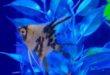 Discover what’s on in the Spencer Gulf, Flinders Ranges