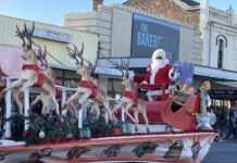 Port Pirie citizens awarded