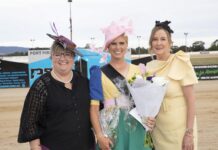 Fashionistas dress up