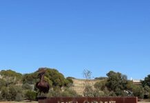 Residents invited to have budget input