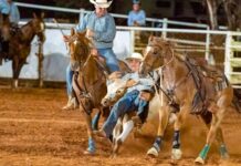 Rodeo fun at Peterborough