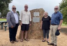 Recognising school days