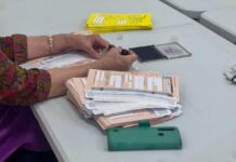 SA Voice nominations open