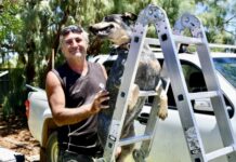 Whyalla shows its heart