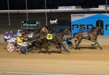 Another winner for local owners