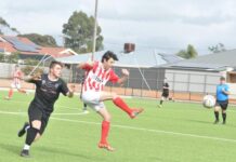 Demons big and easy home win