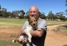 Lights out at Frank Green