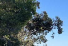 Housing is a top priority