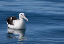 Discover what’s on around the Spencer Gulf