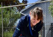 Every little bit helps