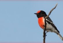 Discover what’s on around the Upper Spencer Gulf