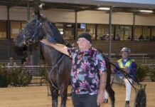 All sorts of good sports