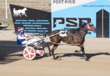 Veteran pacers and power couple take the wins