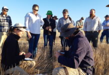 Reporting mouse numbers