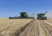 Record breaking growth