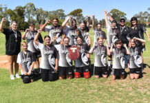 Cougars have great day out