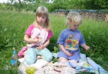 Holiday fun for everyone