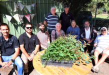 Planting new roots together