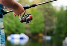 Recreational fishers praised
