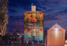 Light show reflects on Anzacs