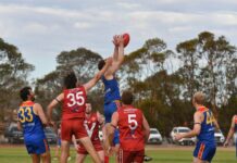 Lions scrap to victory over Roosters