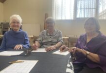 Catch a ‘beetle’ for fun