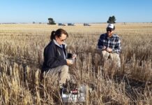 High mouse activity reported in several regions Vigilance advised