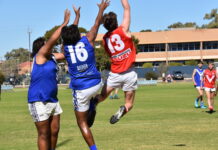 Cats take down Bulldogs