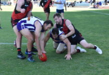 Lions, Cats claw for win