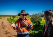 Grassroots take hold in the north