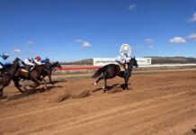 Get ready for Hawker Cup