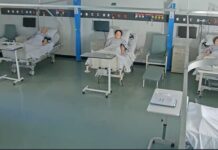 New horizons for future nurses and midwives