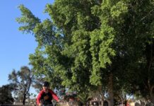 Discover what’s on around the Upper Spencer Gulf