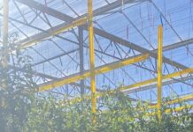 Boost for sustainable future