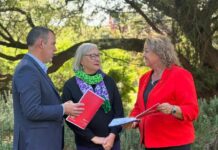 Volunteers provide economic value