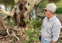 Small bug, big purpose