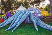 Cuttlefest returns to Gulf
