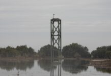 Ospreys build at Broughton