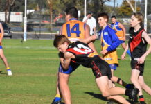 Lions dominate Centrals