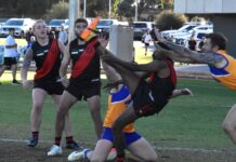 Lions dominate Centrals