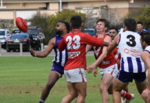 Lions continue strong form with big win against Ports