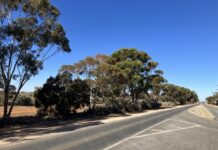 Forty five years of summers