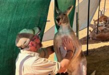 Market lends a helping hand