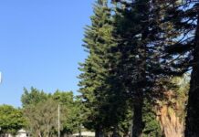 Budget comes into focus