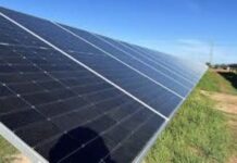 Go ahead for green and gold