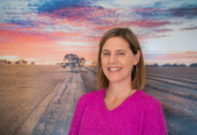 Webinars supporting locals