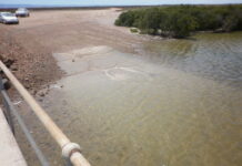 Ramping success for Pirie