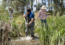 Citizen scientists ready to blitz waterbugs