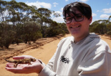 Wild Whyalla now online